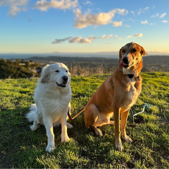 Meet your Posher, MJ - Picture 3 of 3